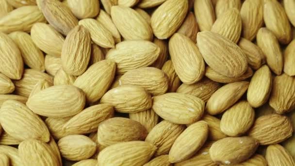 Chutný lískové ořechy jsou mandle. Přísada do mnoha pokrmů a cukrovinky — Stock video