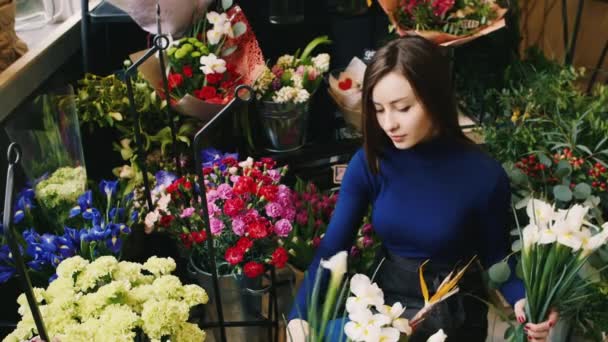 En mycket trevlig kvinna florist arbetar med blommor — Stockvideo