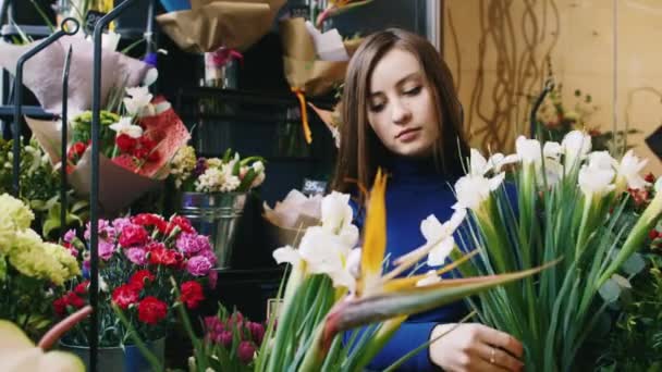 Una joven atractiva que trabaja en una guardería. Compone ramos de flores frescas — Vídeos de Stock