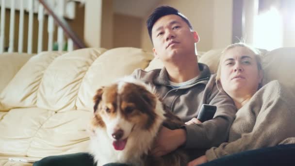 Giovane coppia multietnica che guarda la TV. Siediti sul divano, accanto a loro il loro cane — Video Stock