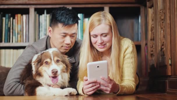 Un couple multiethnique utilise une tablette dans la bibliothèque. Ils sont couchés côte à côte sur le sol sur le fond des étagères avec des livres, à côté d'eux leur chien . — Video