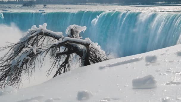 Winter season at Niagara Falls. The earth is covered with snow, the tree is covered with icicles and hoarfrost — Stock Video