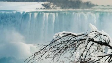 Güzel kış manzarası ile Niagara Falls. Ön planda, Kanada Sahil görünümü bir buz gibi bir ağaç