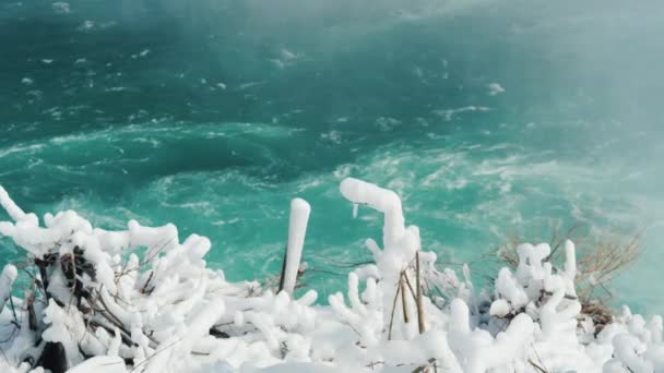 Ijspegels breken van de takken van de ijzige boom. De vroege aankomst van de lente op de Niagara-rivier — Stockvideo