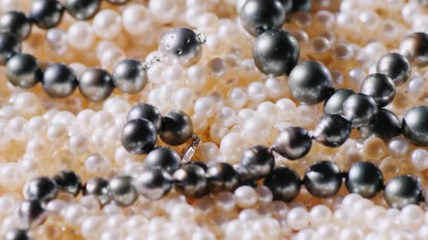 Perlas naturales blancas y negras — Vídeos de Stock