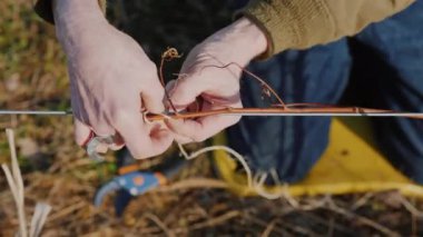 Budama üzüm sonlarında kışın veya erken bahar mevsimi, yakın çekim vurdu