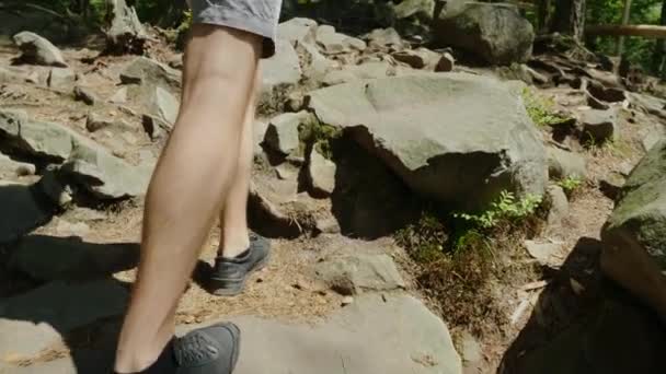 Vidéo de Pov : Jambes d'un homme, marchant le long d'un sentier de montagne le long des racines des arbres . — Video