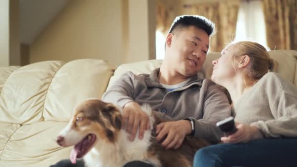 Una joven pareja está descansando en casa, hablando, viendo la televisión. Alrededor de ellos se sienta su perro AustralianShepherd — Vídeos de Stock