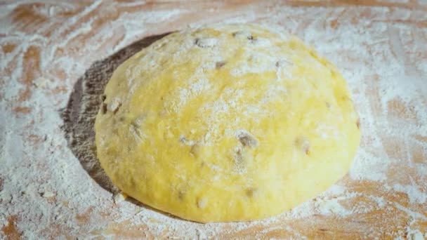 Der Teig geht auf, Teig mit Rosinen zum hausgemachten Backen — Stockvideo