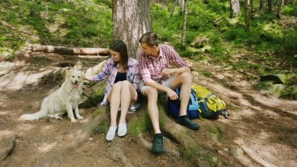 Молода пара туристів сидить під деревом, відпочиває. З ними їх собака, поруч пішохідні рюкзаки — стокове відео