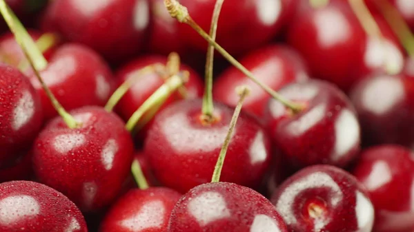 Appetizing red cherries. On the berries small drops of water