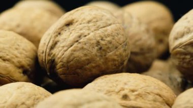 Ceviz stüdyo çekim