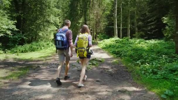 Rear view:Friends with backpacks on their backs follow a path in the forest. Active young people in the hike — Stock Video