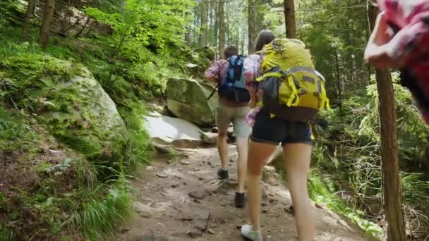 Три туриста с рюкзаками поднимаются по крутой скалистой тропинке в лесу. Приключения и активный образ жизни — стоковое видео