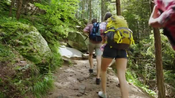 Tři turisté s batohy vylézt strmé skalní cestu v lese. Dobrodružství a koncepce aktivní životní styl — Stock video