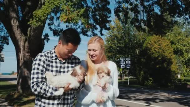 La familia compró dos cachorros pequeños. Un hombre y una mujer caminan por la calle, en manos de pequeñas mascotas — Vídeo de stock