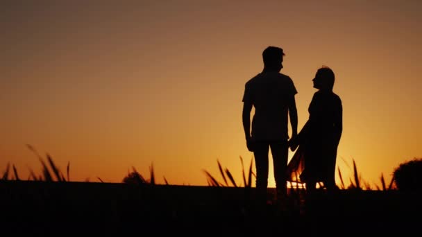Силуэты романтической молодой пары, держащейся за руки, стоящей в живописном месте и любующейся закатом — стоковое видео
