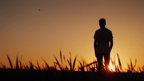 Een jonge man staat in het ene veld en kijkt naar de zonsondergang — Stockvideo