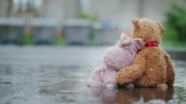 Dois amigos - uma lebre e um filhote de urso estão sentados no asfalto à chuva. Olha para as latas de lixo à frente, abraço. Brinquedos perdidos — Vídeo de Stock