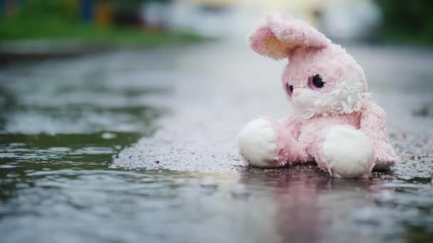 A wet toy hare becomes wet under the rain. Sits alone on the cold asphalt — Stock Video