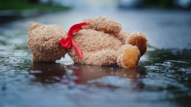 Opuštěné malý medvěd leží na mokré vozovce, prší. Ztráty a deprese, koncepce — Stock video