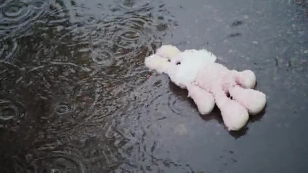 Mulher levanta um coelho de brinquedo de uma poça — Vídeo de Stock