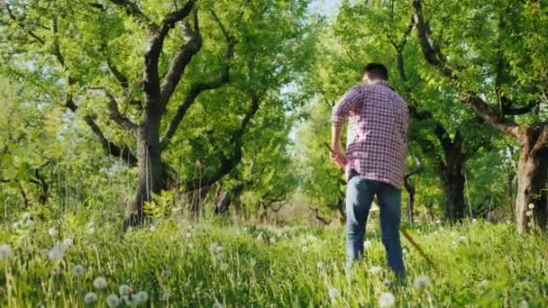 Un jeune agriculteur fauche l'herbe dans un jardin de pommiers. Agriculture biologique et artisanat Concept — Video