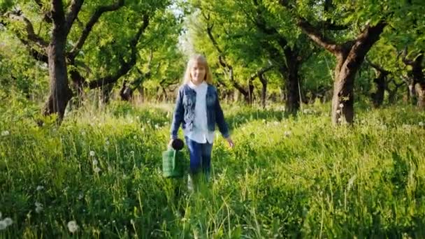 Маленька дівчинка з поливом може піти на яблучний сад . — стокове відео