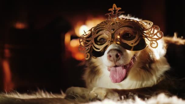 A dog in a carnival mask rests on a soft rug on the background of the fireplace. Favorite animals concept — ストック動画