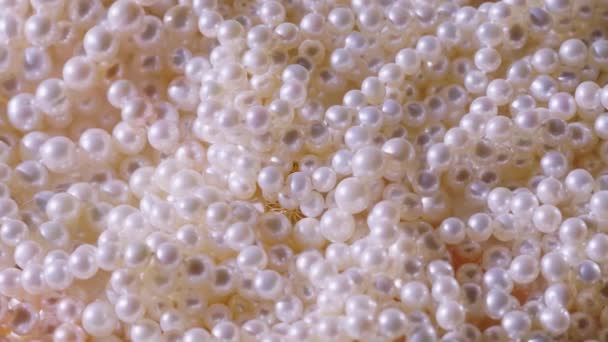 Hermosa perla blanca. Productos de perlas naturales. Vídeo HD — Vídeo de stock
