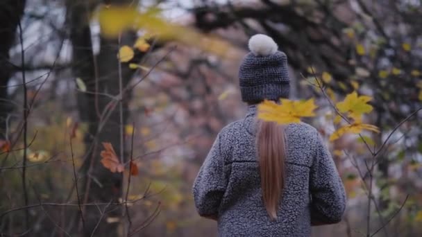 Vista posteriore di una bambina che cammina attraverso una foresta buia con una torcia in mano — Video Stock