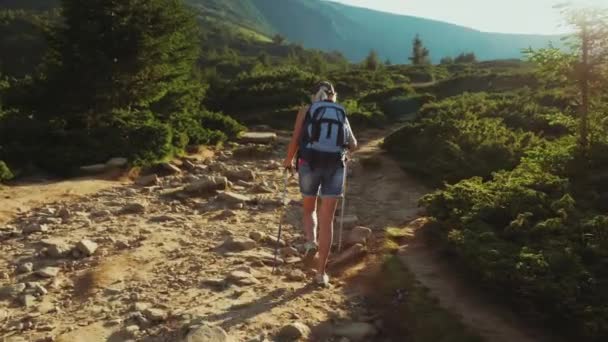 Une touriste avec un sac à dos avec des bâtons de trekking monte le sentier de montagne. Aux rayons du soleil couchant. Vue arrière — Video