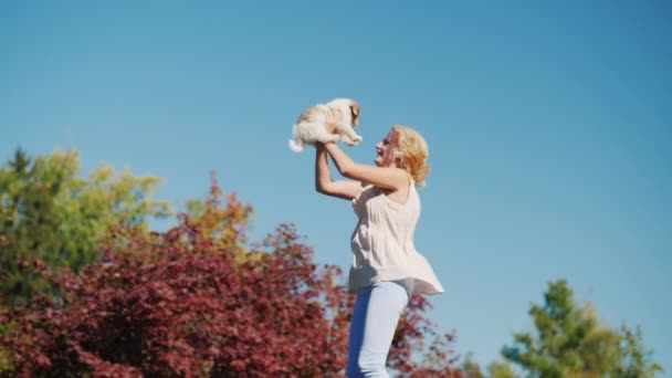 Active woman with a puppy. Jumps on the trampoline — Stock Video