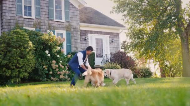 Joven indio jugando con perros en el patio trasero de la casa . — Vídeos de Stock