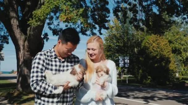 Семья купила двух маленьких щенков. Мужчина и женщина идут по улице, в руках маленьких домашних животных — стоковое видео