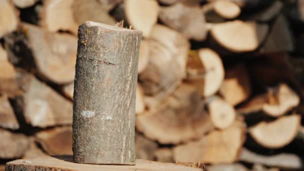 A modern ax splits a log. Harvesting firewood for the winter — Stock Video