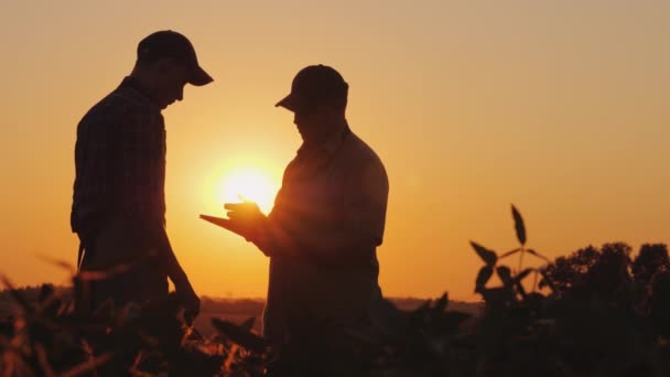 Dois agricultores falam no campo, depois apertam as mãos. Utilizar um comprimido — Vídeo de Stock