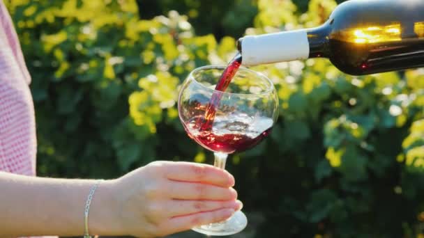 Einschenken von Rotwein in einem eleganten Glas auf dem Hintergrund des Weinbergs. Weintour — Stockvideo