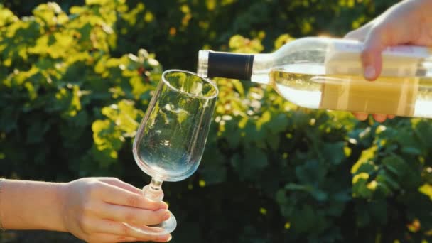 Degustación privada de vinos: el vino blanco se vierte en una copa sobre el fondo de un viñedo — Vídeos de Stock