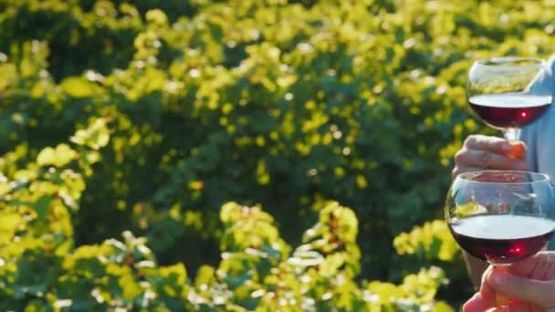 A group of tourists tasting wine near the vineyard. Together clink glasses, close-up — Stock Video