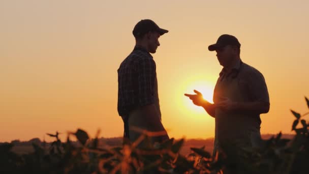 Un granjero mayor le da la mano a un joven colega. Sonrisa, emociones positivas — Vídeo de stock