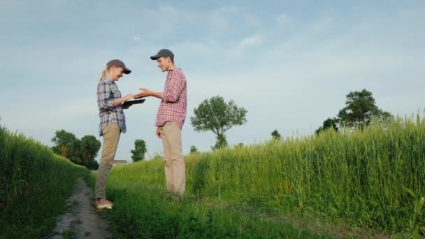 İki genç çiftçi buğday tarlasının yanında dikilirken konuşuyor. İki genç çiftçi buğday tarlasının yanında dikilirken konuşuyor.. — Stok video