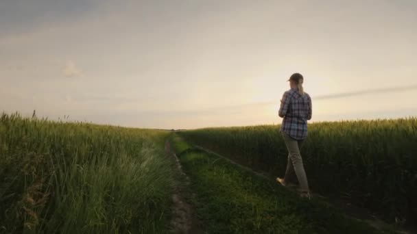 Una agricultora camina por un camino rural a lo largo de campos de trigo . — Vídeo de stock