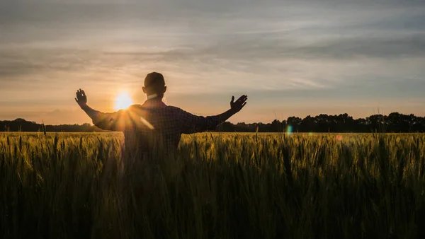 Een mannelijke boer steekt zijn handen op boven de rijzende zon over een graanveld. — Stockfoto