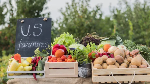 Een teller met seizoensgroenten en inscripties van Amerikaanse boeren — Stockfoto