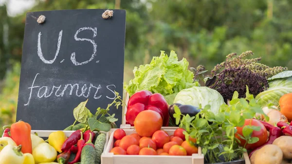 A counter with seasonal vegetables and U.S. farmers inscriptions — Stock Photo, Image