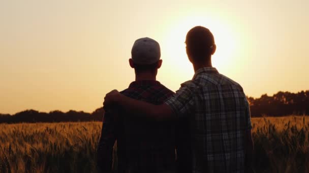 Dois homens gentilmente se abraçam, ansiosos para o campo ilimitado de trigo — Vídeo de Stock