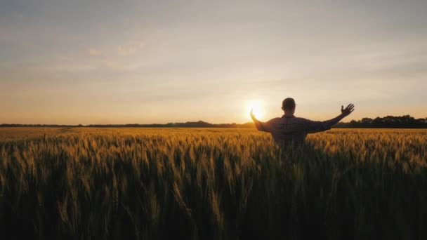 Seorang petani laki-laki mengangkat tangannya ke atas matahari terbit di atas ladang gandum — Stok Video