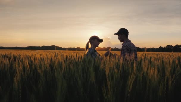 Dos jóvenes agricultores se paran en un campo de trigo, usan una tableta — Vídeos de Stock