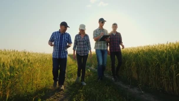 Um grupo de jovens agricultores caminha ao longo de uma estrada rural ao longo de campos de trigo — Vídeo de Stock